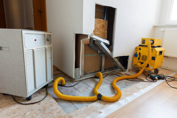 Best Dehumidification Services  in Umatilla, OR
